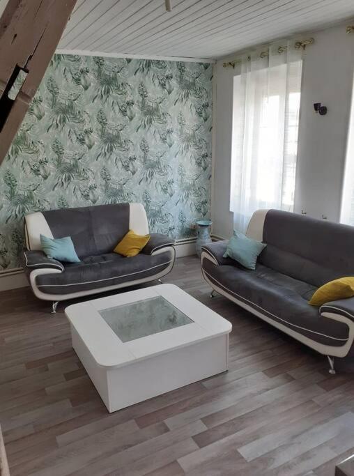 Super Logement En Plein Coeur De La Ville , Chez Tify Бриен-ле-Шато Экстерьер фото